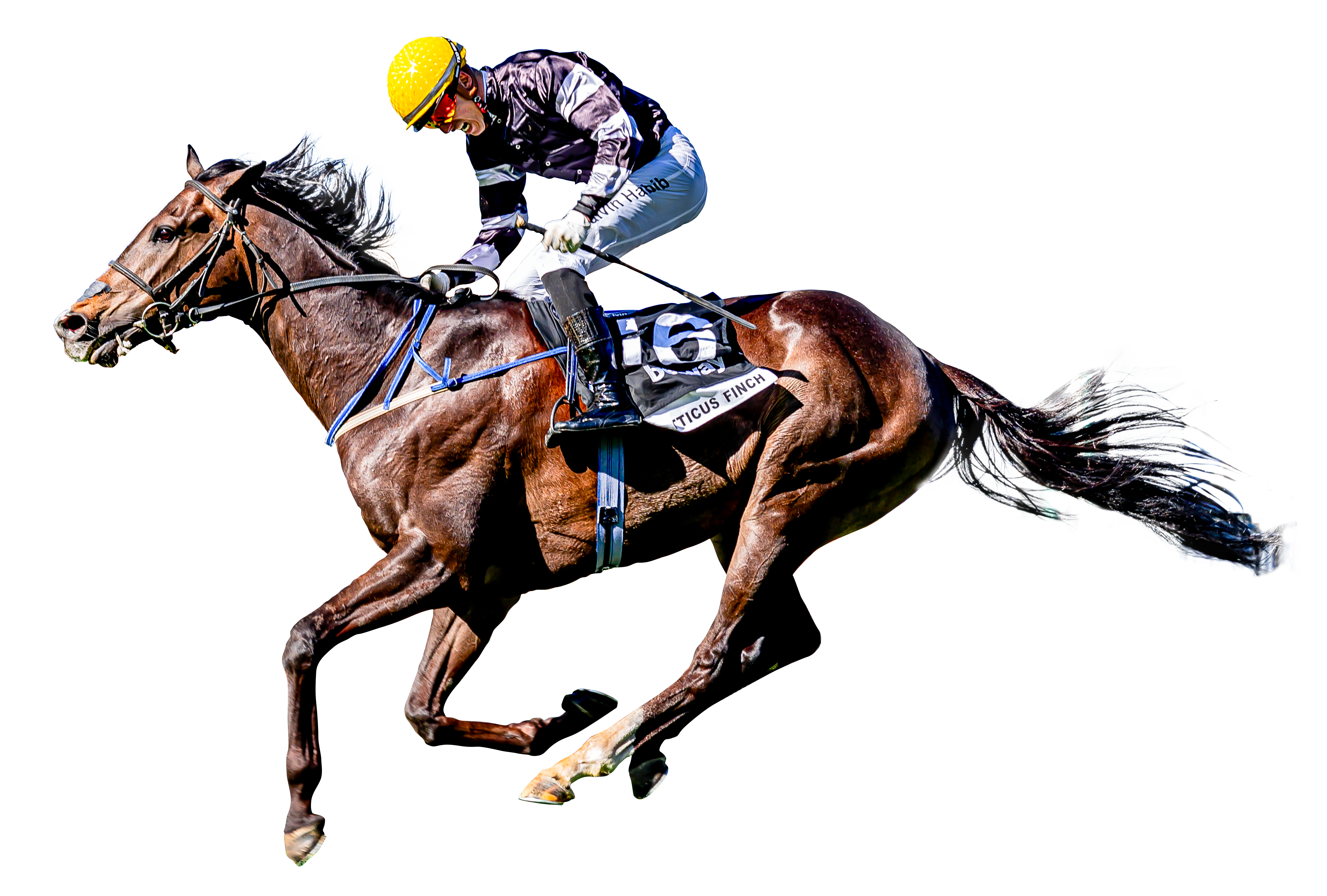 Home [www.4racing.com]