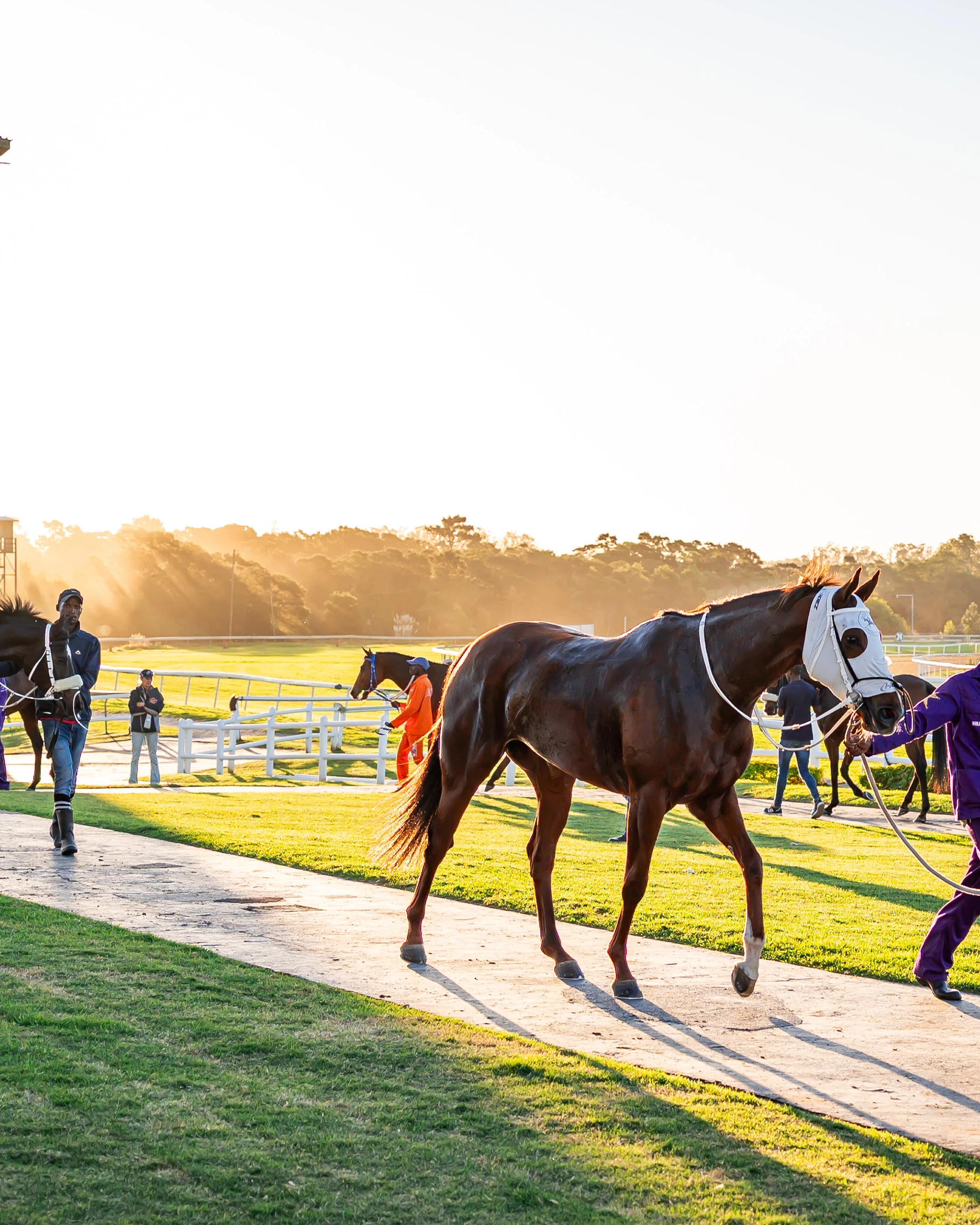 Your first raceday, explained.