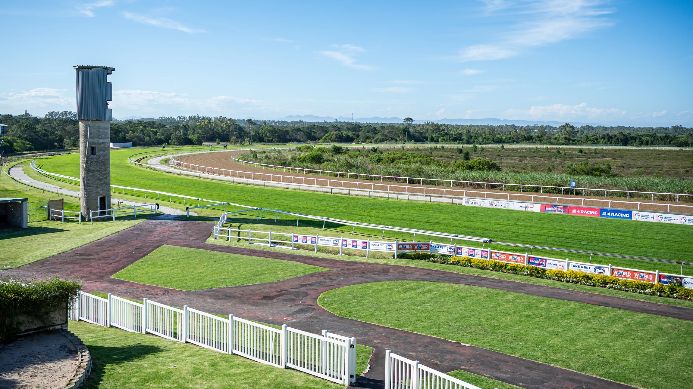 A punter's course — turf and Polytrack