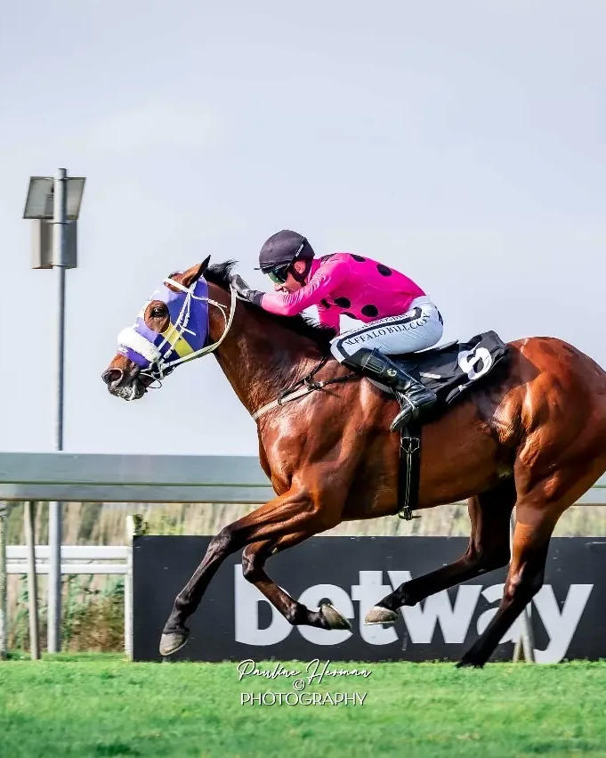 The Algoa Cup — the city's signature day