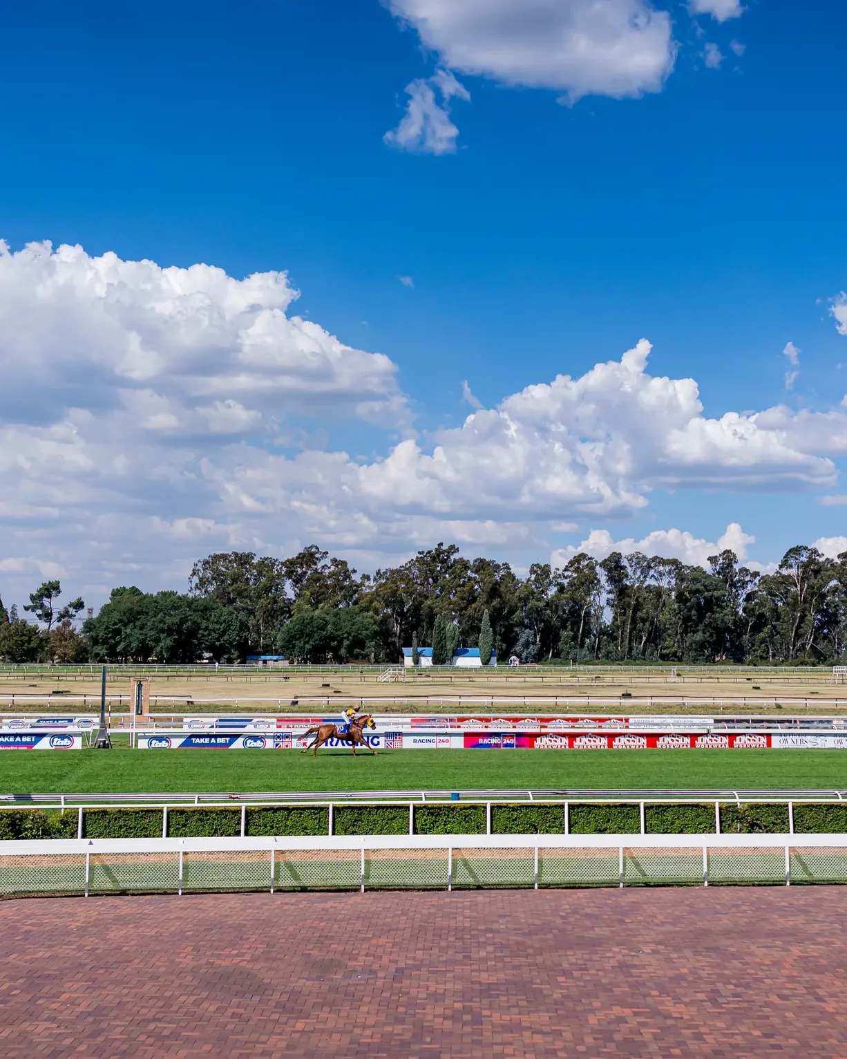 A racecourse that had to earn its place