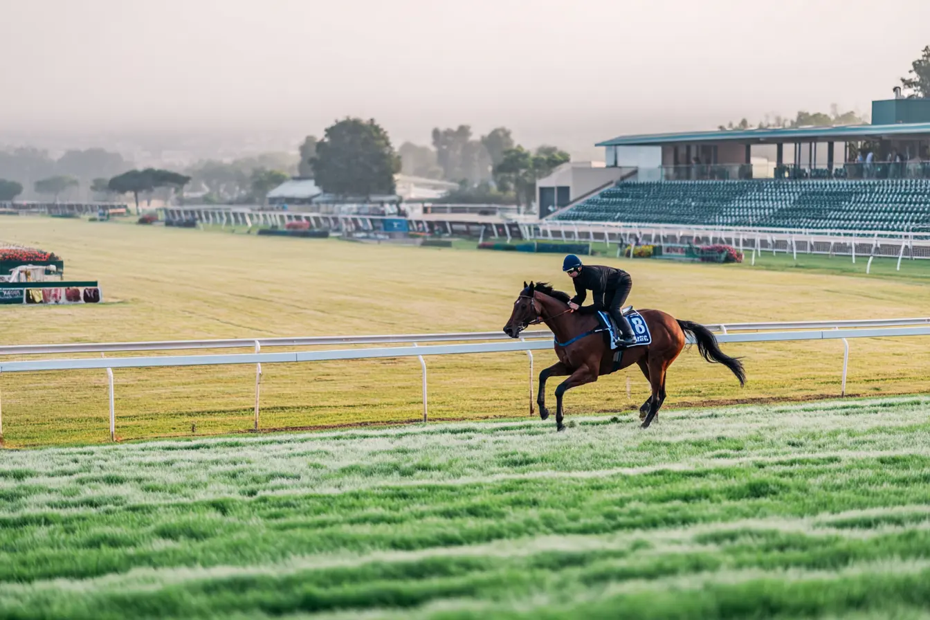 What 1800m at Turffontein asks.