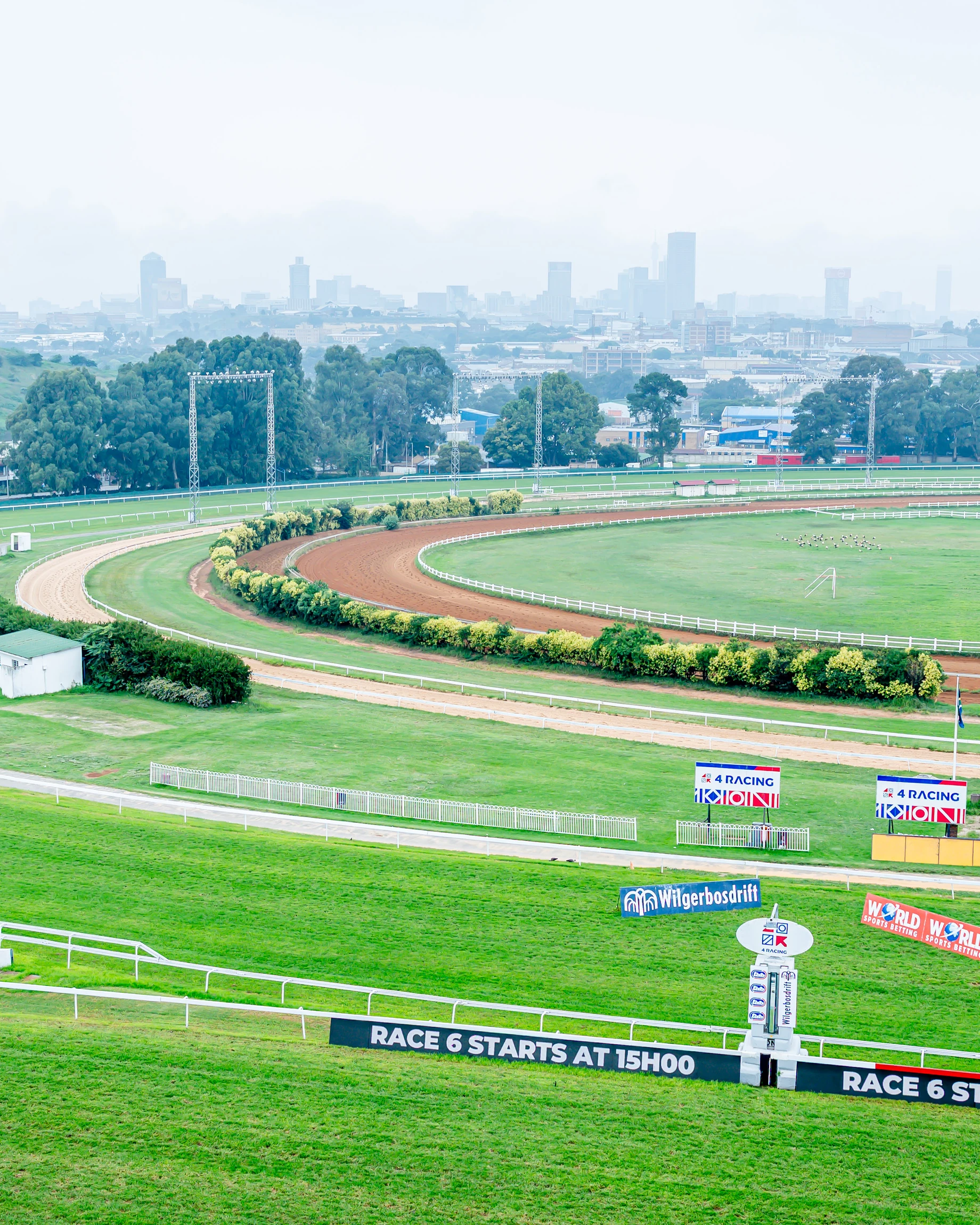 Building the world's most loved racing experience.