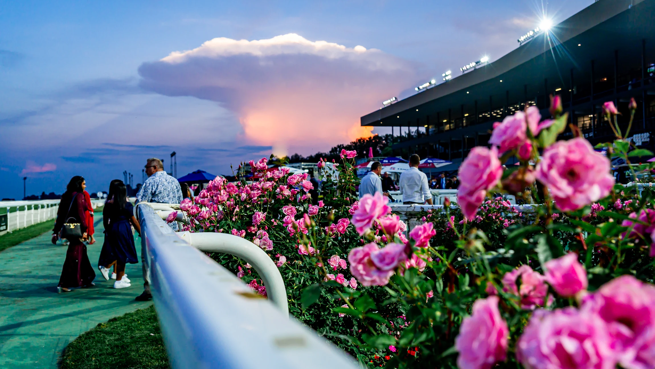 The Summer Cup