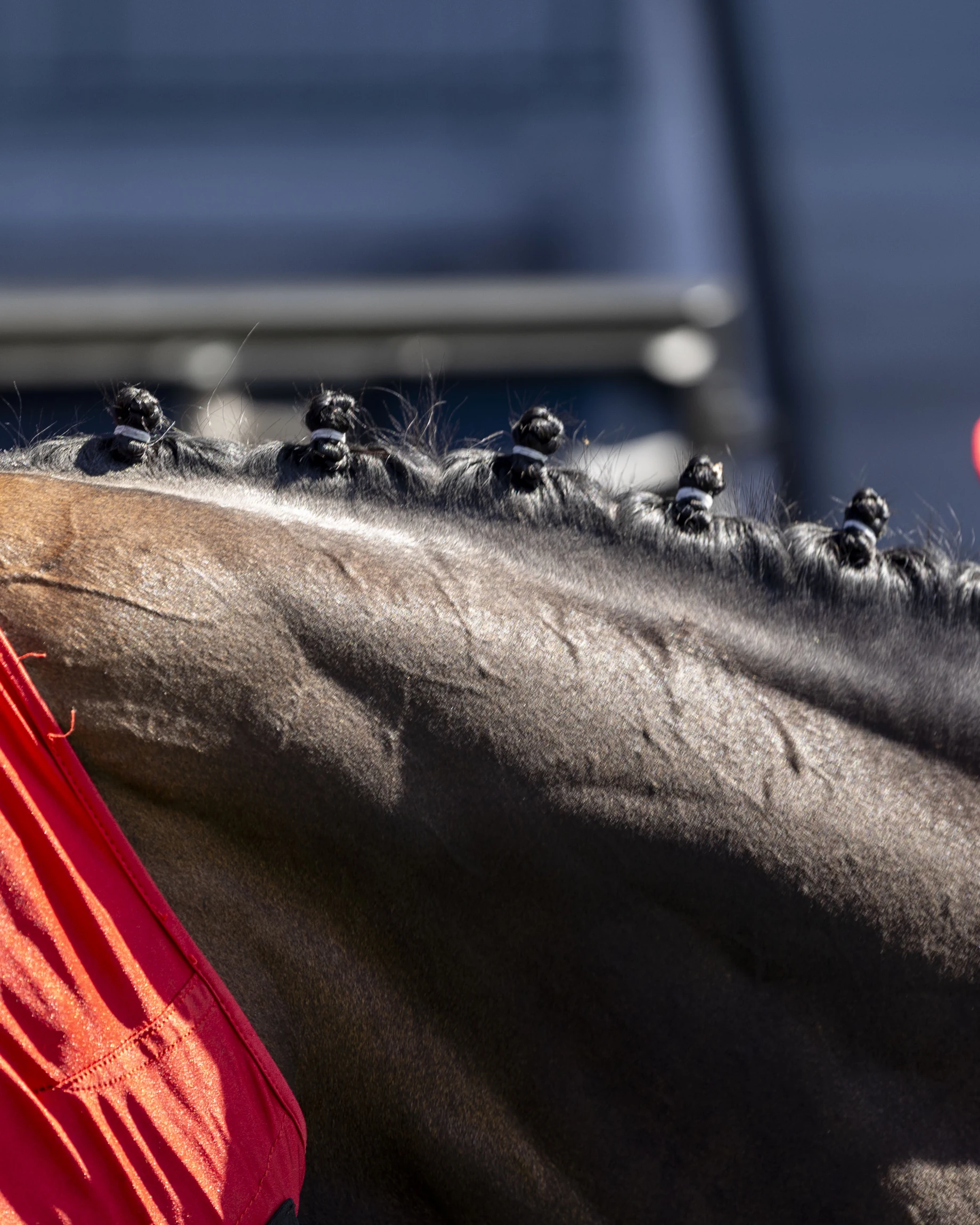 A series inaugurated for the fillies.