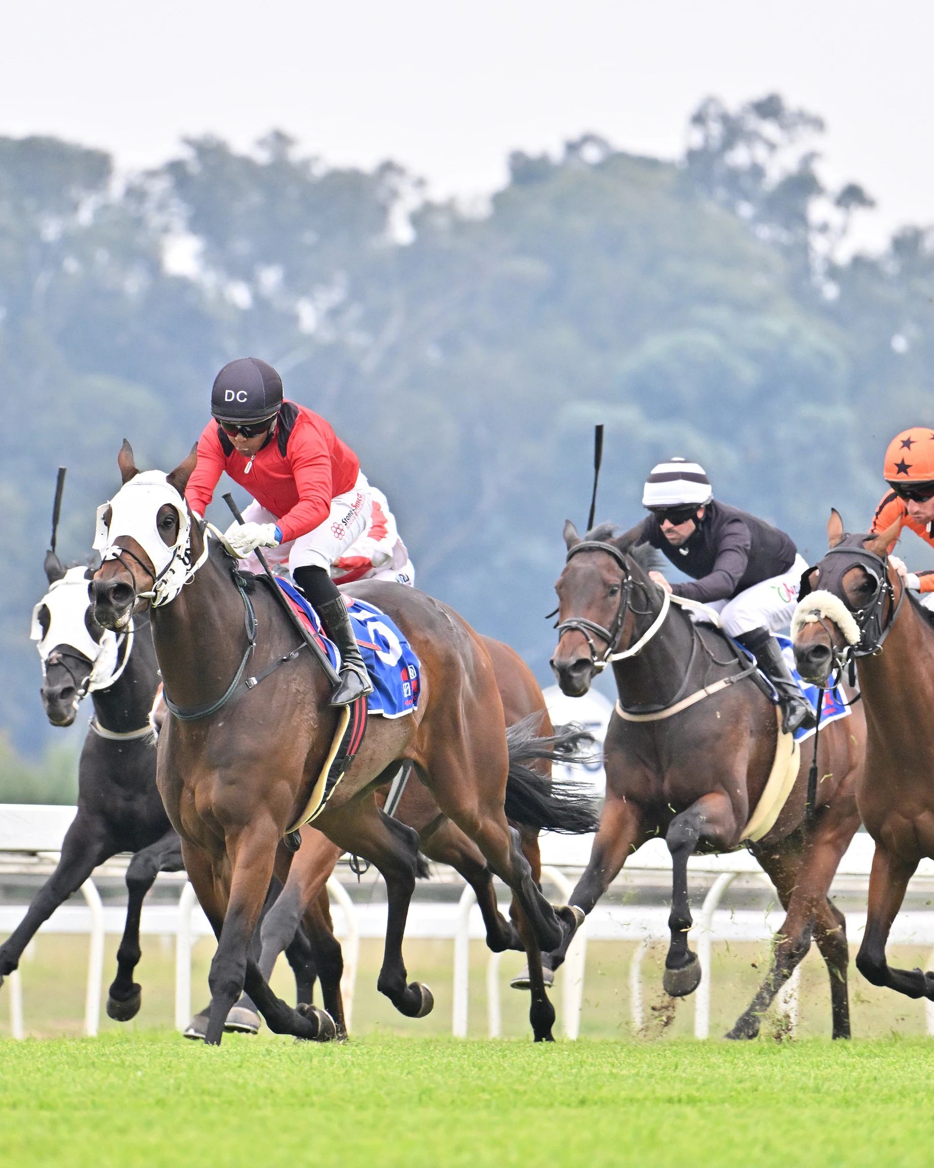 Feature handicaps